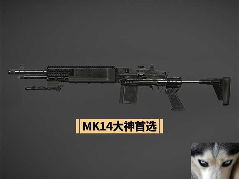 MK144ѡ